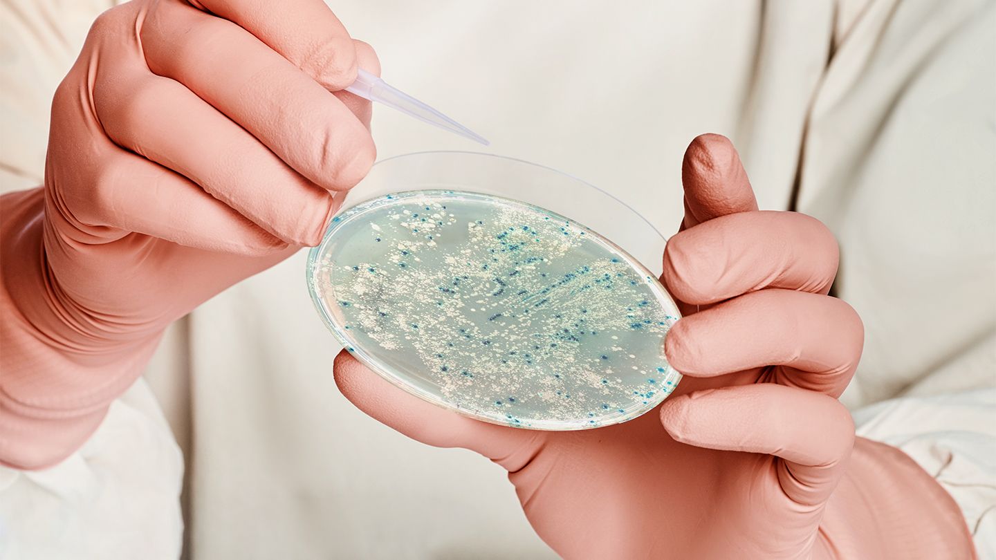 Éclosion d'E. Coli dans l'Ohio, Michigan