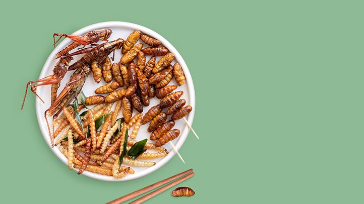 6 insectes que vous pouvez manger (et leurs bienfaits pour la santé)