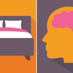 Comment le sommeil protège la pensée et la mémoire