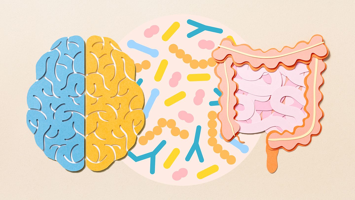 Les bactéries intestinales peuvent révéler la maladie d'Alzheimer avant l'apparition des symptômes