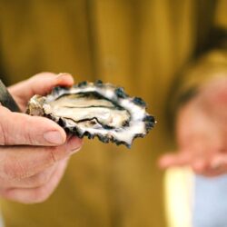 Meilleurs aliments contenant du zinc pour renforcer votre système immunitaire