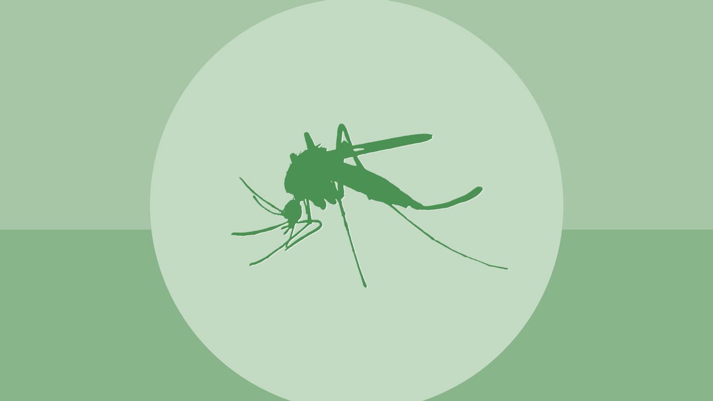 Le virus du Nil occidental et l'EEE provoquent des maladies et des décès aux États-Unis