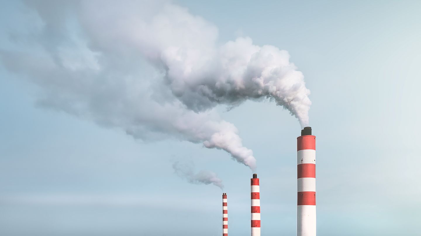 Air Pollution Can Make It Harder to Concentrate and Regulate Emotions