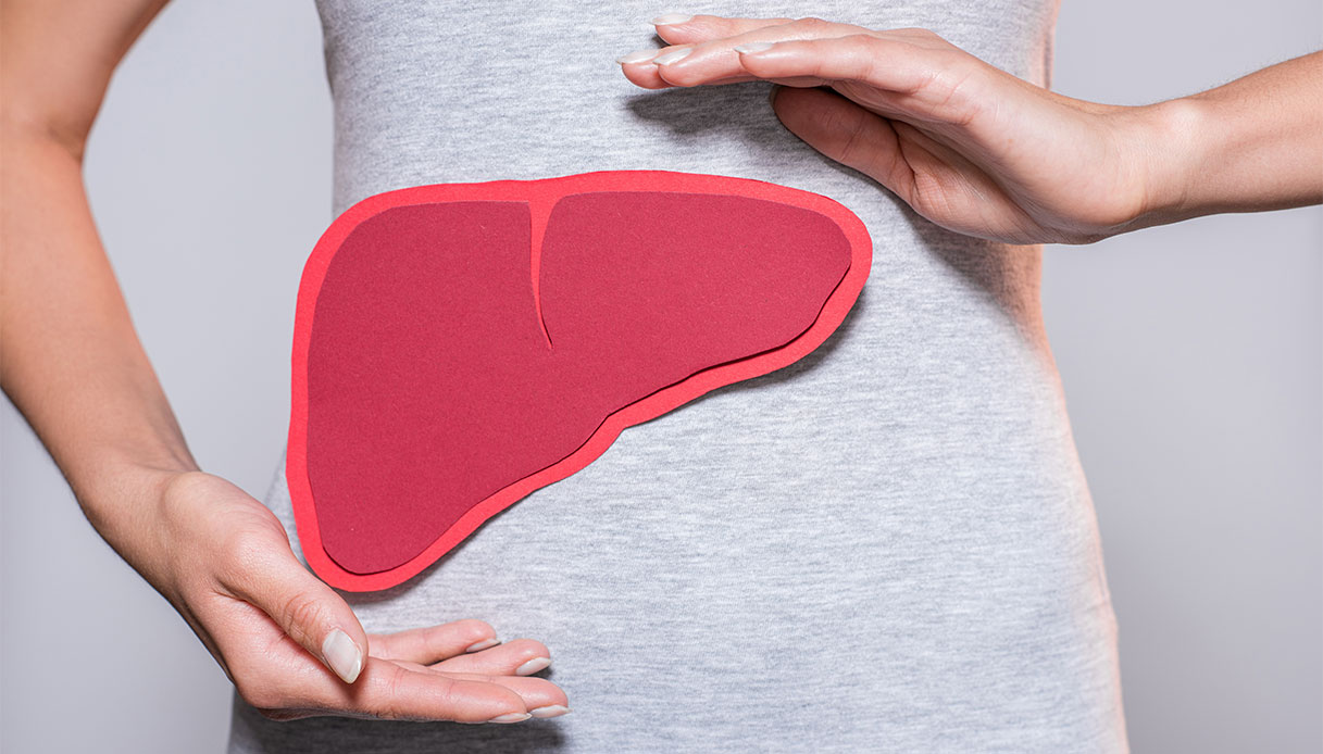 Journée mondiale du foie, stratégies pour protéger la santé du laboratoire d'organisme