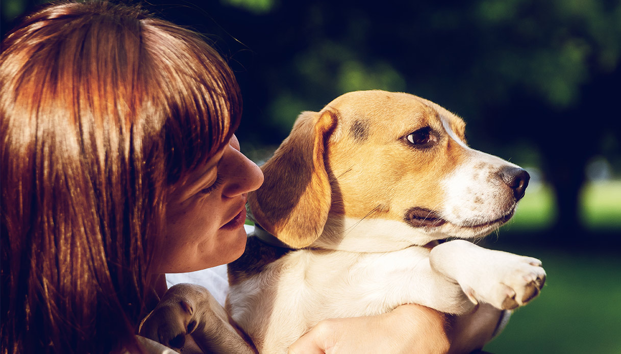 Leishmaniose, car le chien doit être protégé pour limiter les risques pour l'homme