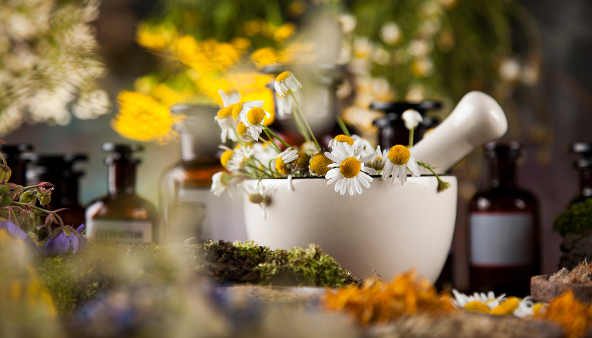 Phytothérapie et impact des médicaments sur l'environnement