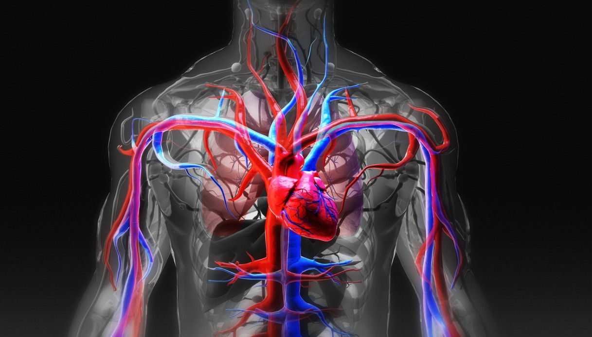 Première greffe d'artère pulmonaire au monde, où elle a été réalisée et pourquoi