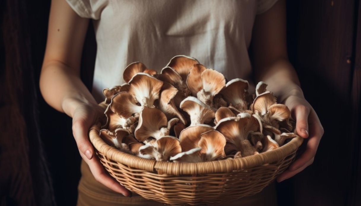 Un automne plein d’énergie avec les bons aliments adaptogènes