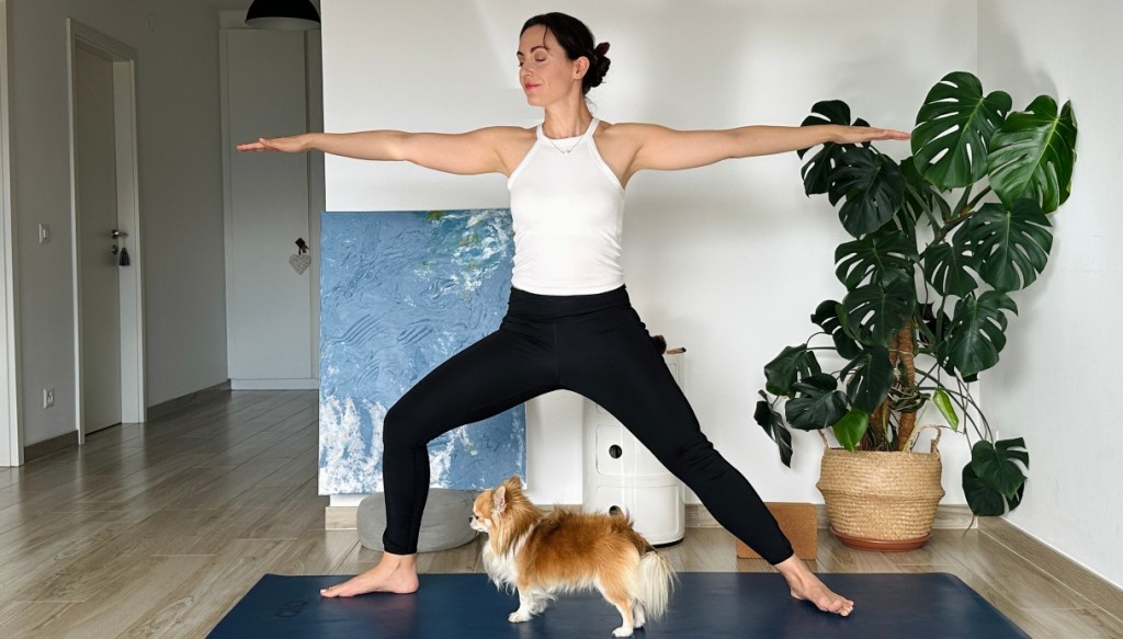 position du guerrier 2