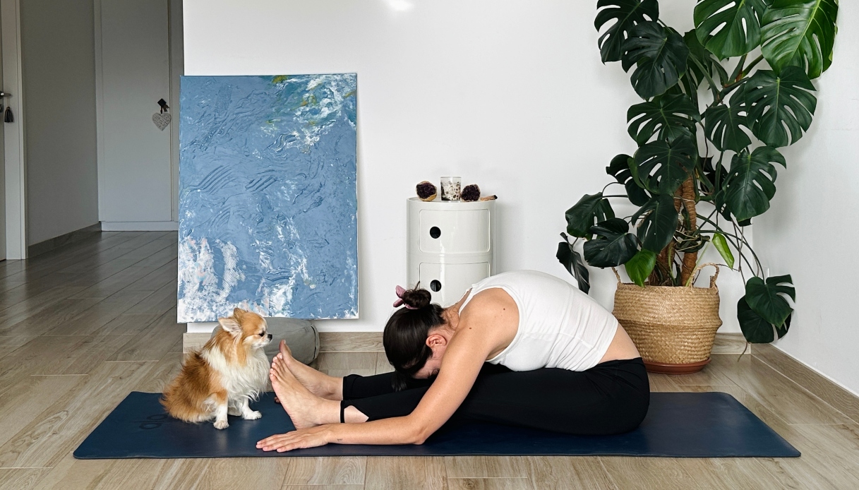 Yoga pour le cycle : routine et conseils pour chaque phase du mois