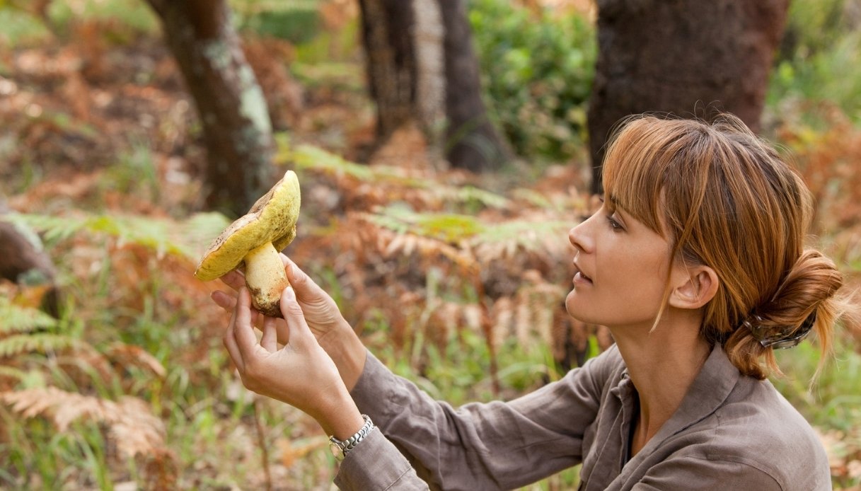 Intoxication aux champignons, 25 cas en 5 jours. Précautions à suivre