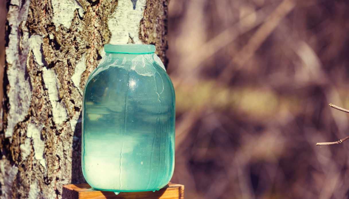 Le kéfir d'eau, la boisson fermentée dont raffolent les intestins